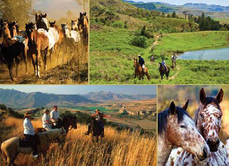 Drakensberg horse trails